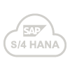 s4hana