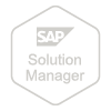solution manager